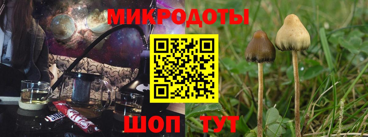 Псилоцибиновые грибы Magic Shrooms  Галлюциногенные грибы MAGIC MUSHROOMS  Вход с VPN  Отрадный 